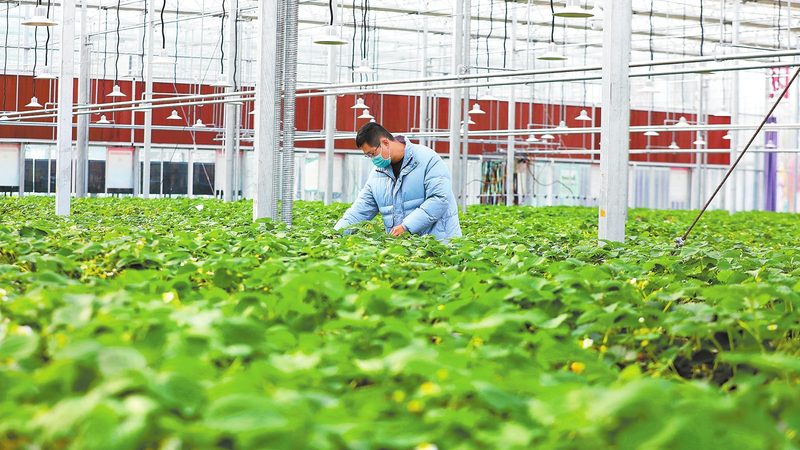 在加盟前，要对投资回报与风险进行合理评估。以下因素需考虑：