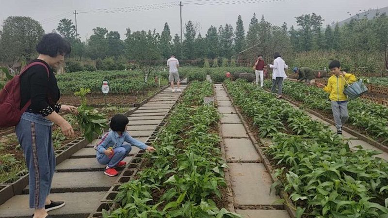 水果种植加盟代理：如何选择口碑好的合作伙伴