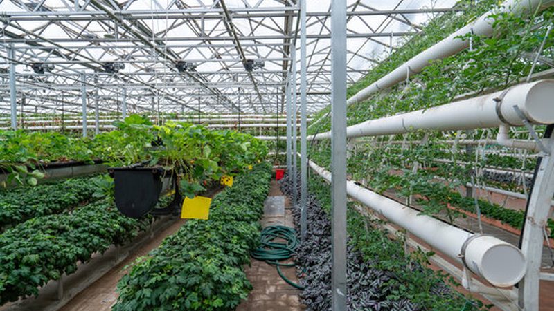 选址标准：地理位置与交通便利性