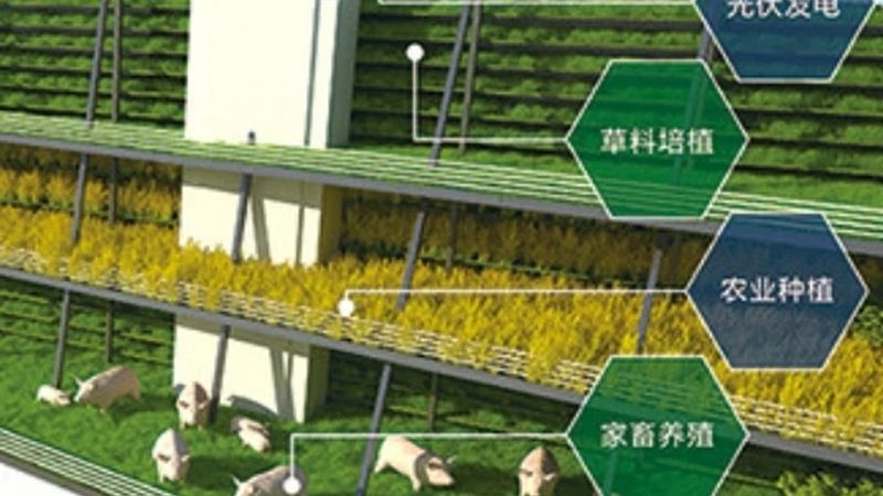 产地直供与厂家直供，农业供应链的两条岔路