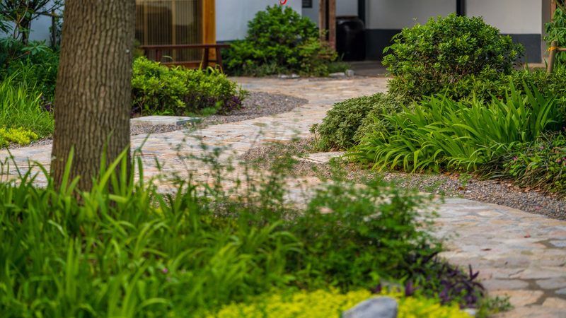 阳台上的田园梦：家庭阳台种植技术解析**