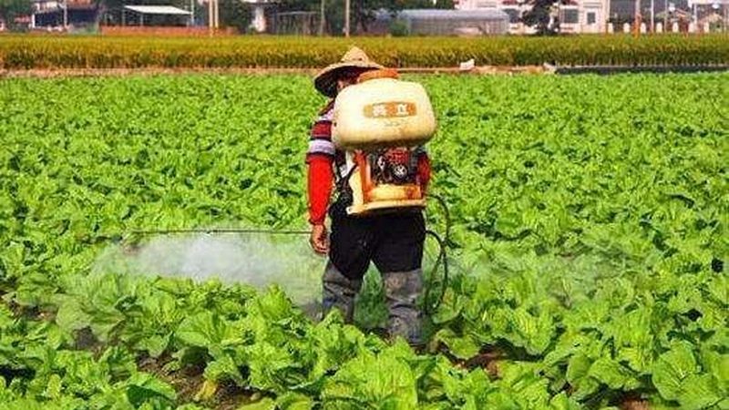 有机质提升：土壤修复的绿色途径