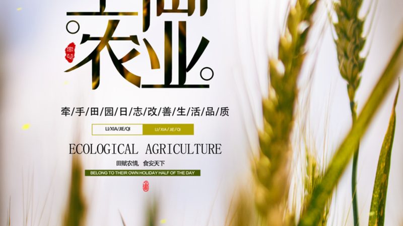 定制方案不是拼积木：粮食种植机械化如何真正适配你的田